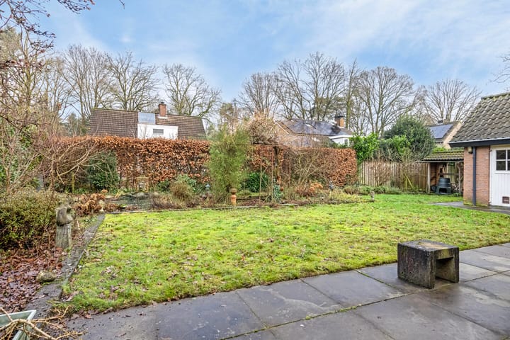 Foto 42 van Sleedoorn 11