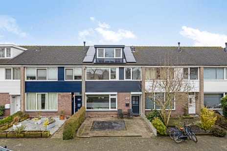 undefined main image