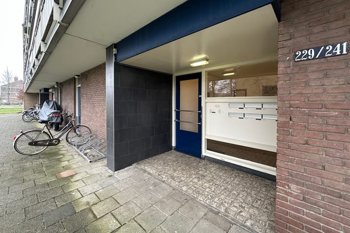 Foto 6 van Wiekslag 241