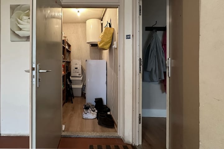 Foto 22 van Wiekslag 241