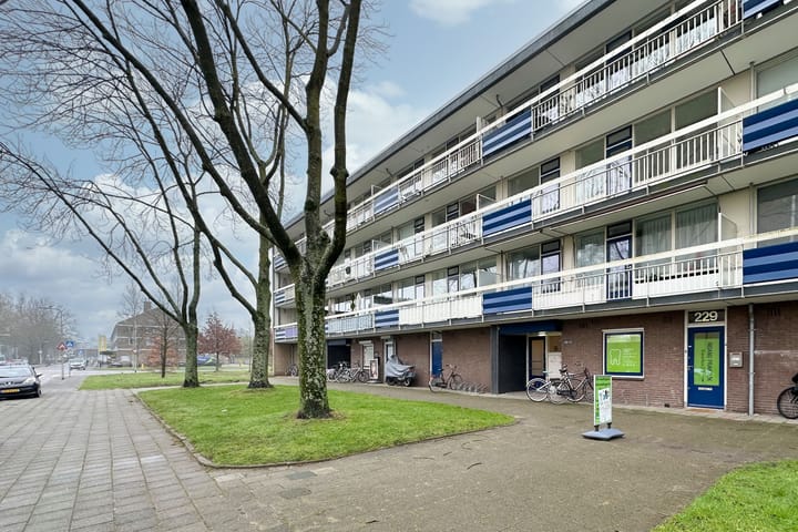 Foto 27 van Wiekslag 241