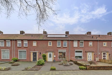 undefined main image