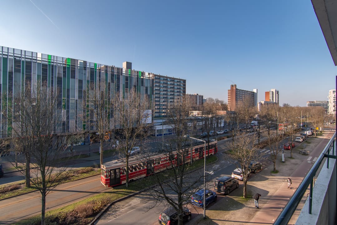 Foto 22 van Papsouwselaan 257