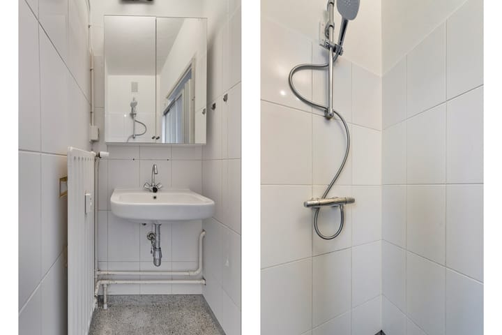 Foto 5 van Rooseveltlaan 132