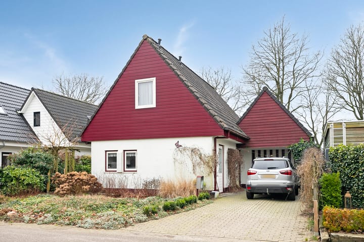 undefined main image