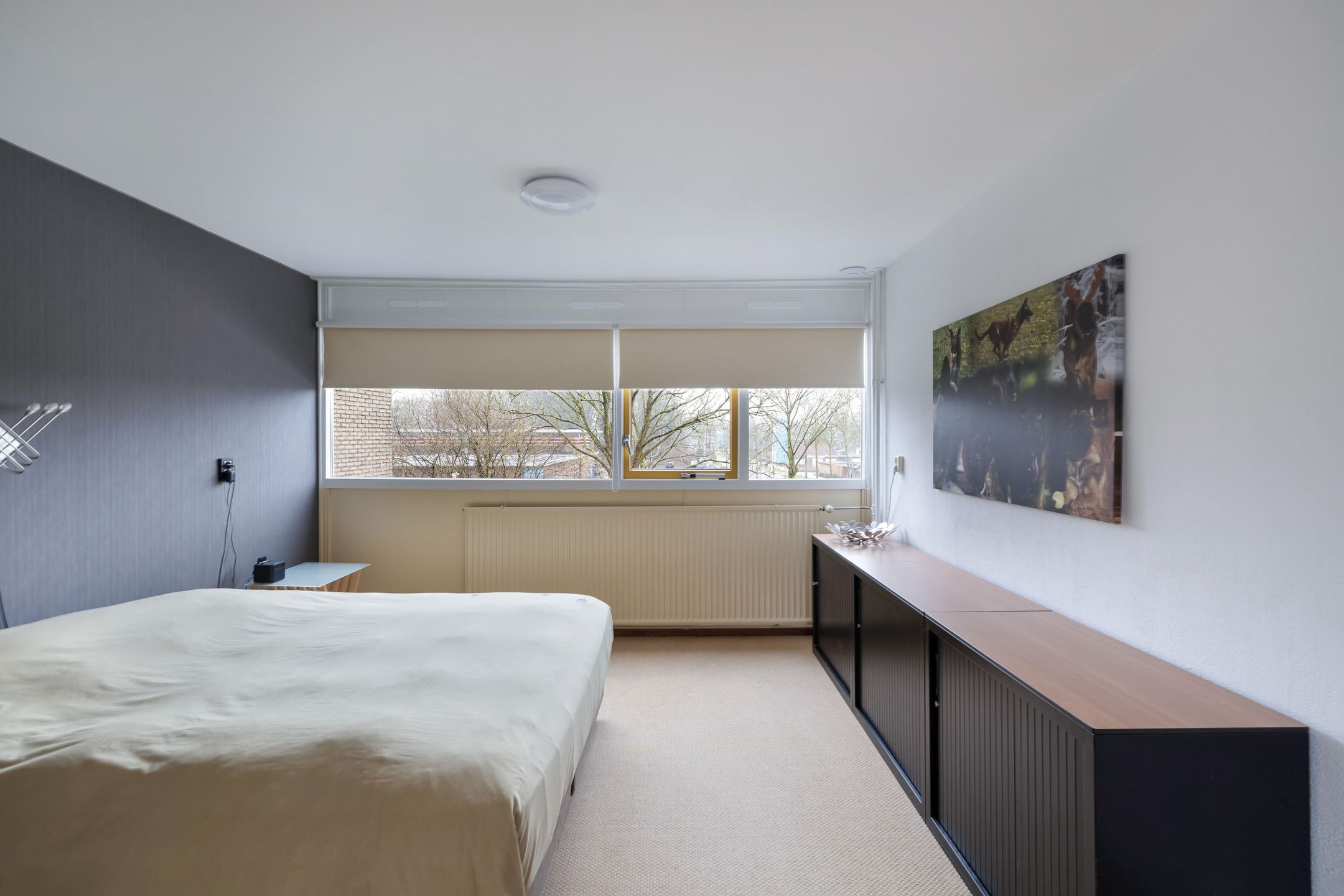 Photo 27 of Bongerd 153