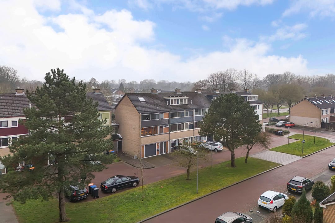 Photo 52 of Bongerd 153