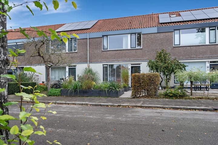 Foto 33 van Drecht 21