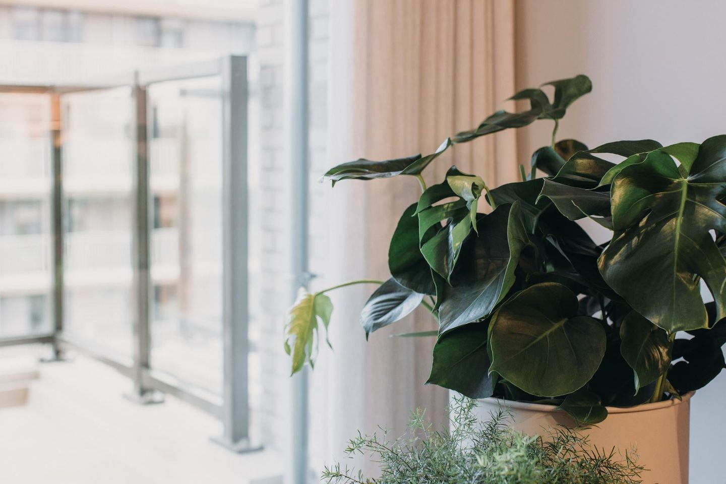 Photo 4 of Ariana Nozemanstraat 134