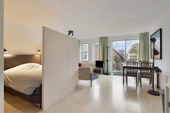 Foto 9 van Springweg 474