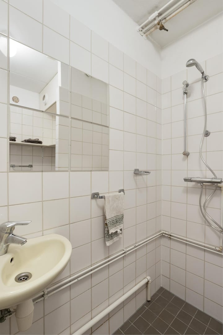 Foto 23 van Springweg 474