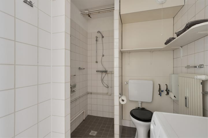 Foto 22 van Springweg 474