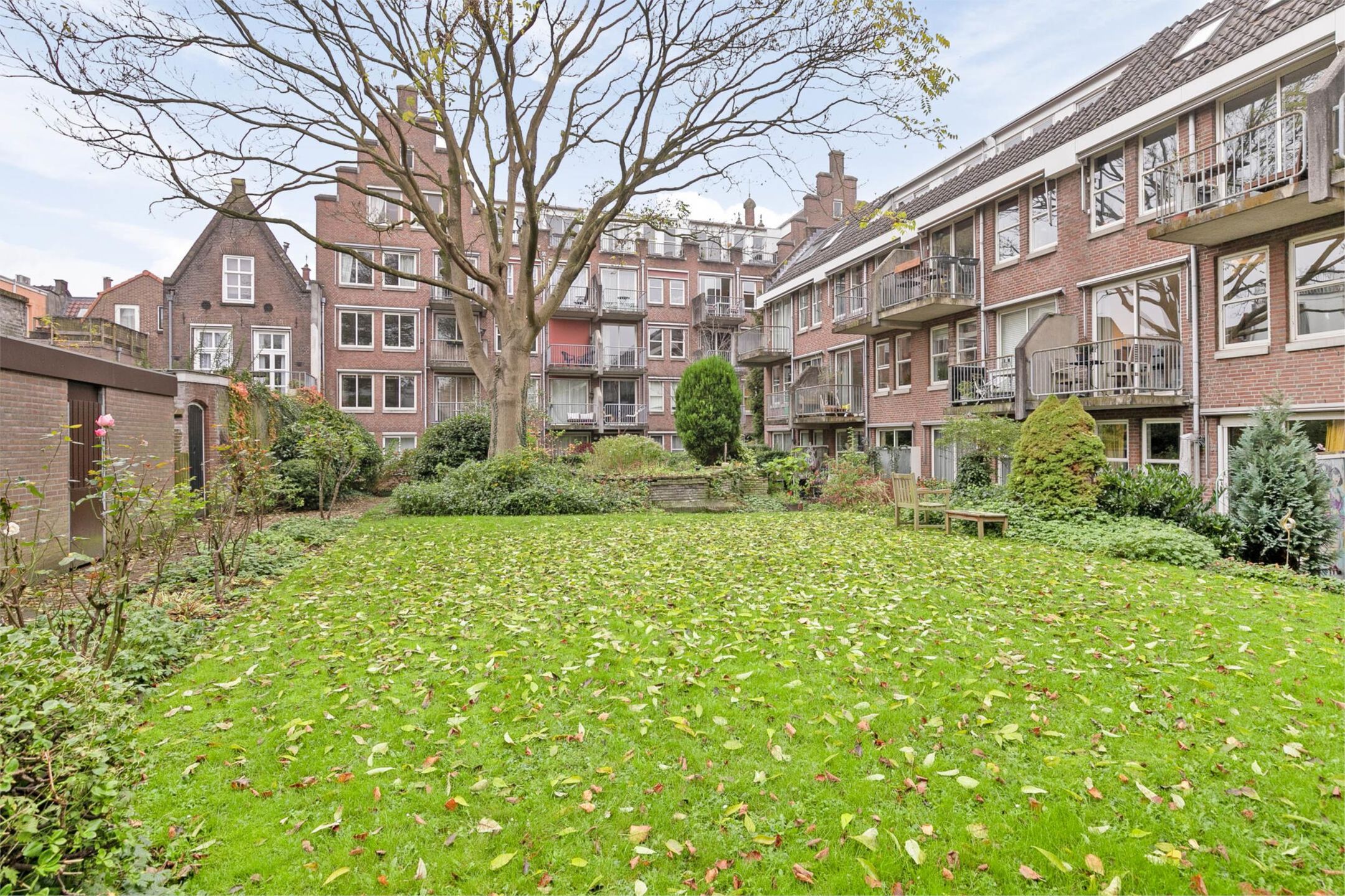 Foto 30 van Springweg 474