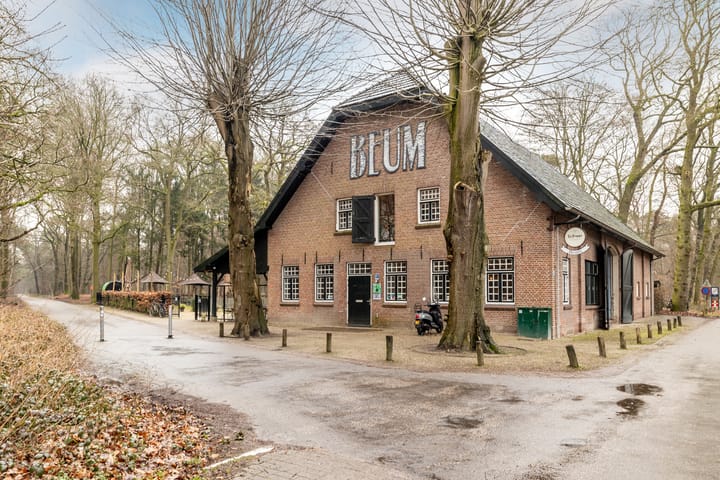 Foto 42 van Cederstraat 4