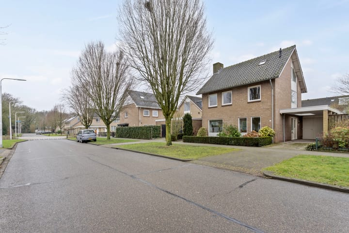 Foto 37 van Rossinistraat 20