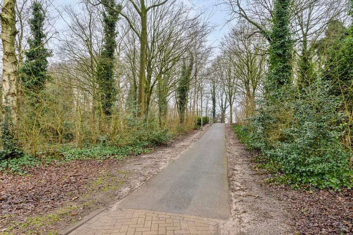 Foto 40 van Rossinistraat 20