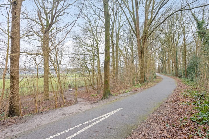 Foto 41 van Rossinistraat 20