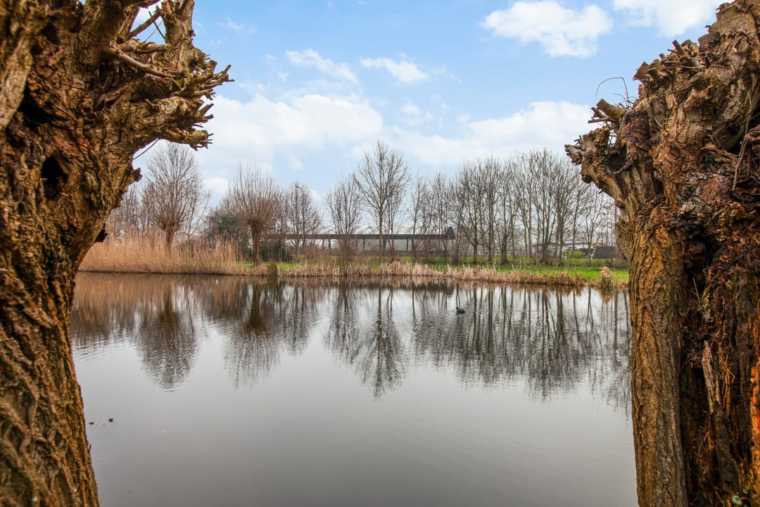 Foto 43 van Drossaardslag 10