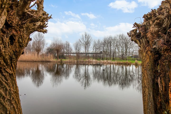 Photo 43 of Drossaardslag 10