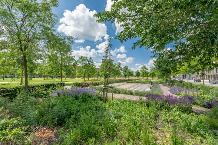 Foto 35 van Eva Besnyöstraat 579