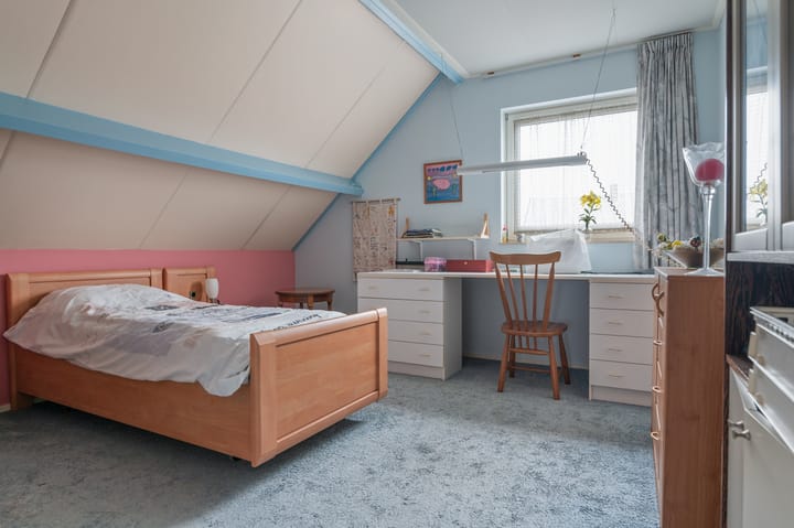 Foto 43 van Sjouke van der Kooistrjitte 43