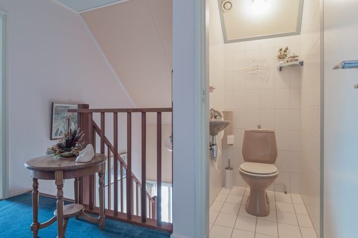 Foto 51 van Sjouke van der Kooistrjitte 43