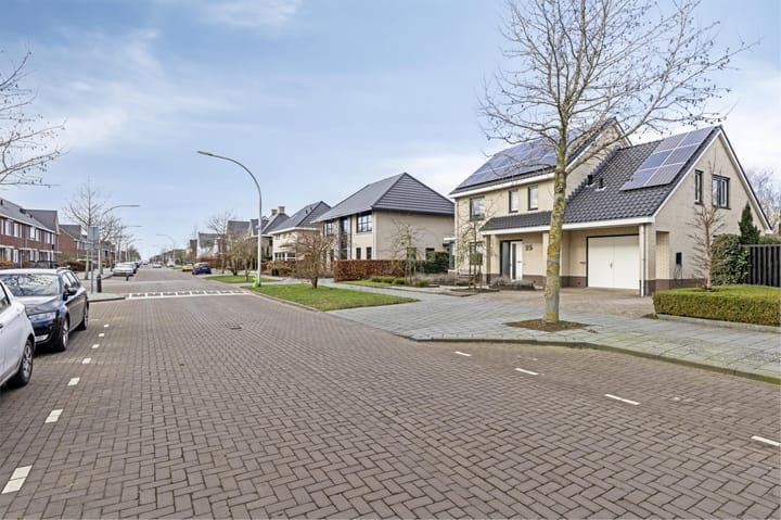 Foto 43 van Niels Bohrhage 25