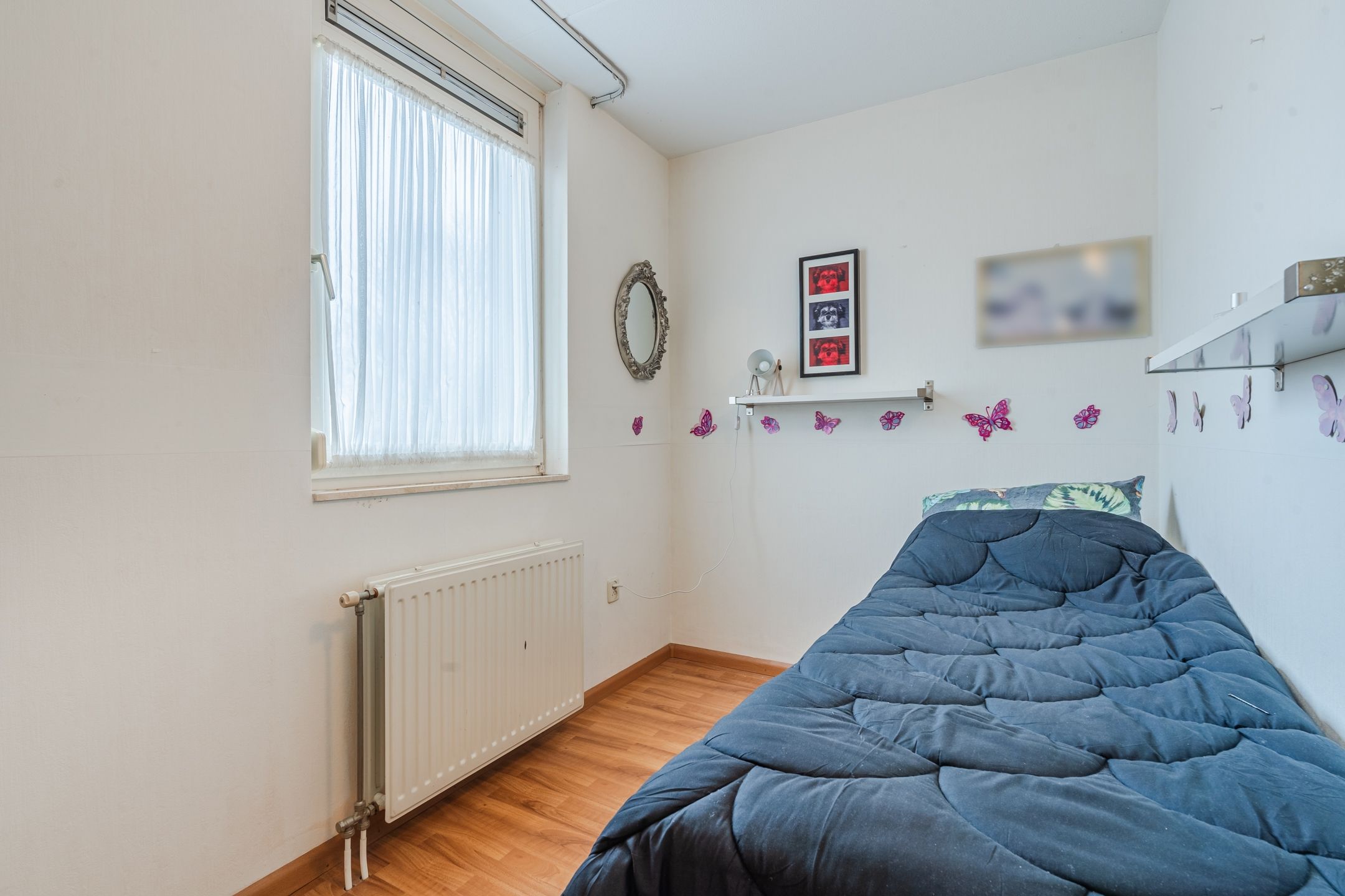 Foto 21 van Zicht 31