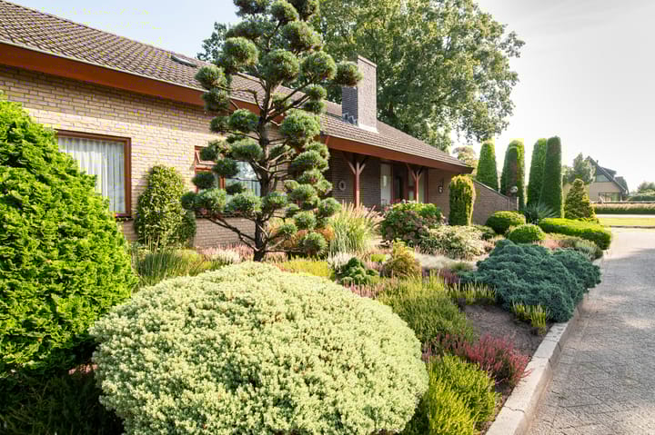 Foto 33 van Havenstraat 65