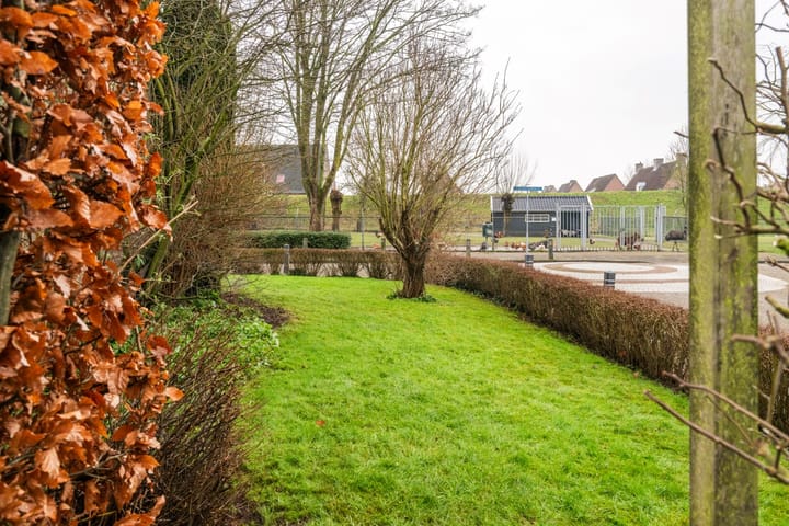 Foto 54 van Gerard Doustraat 8-A