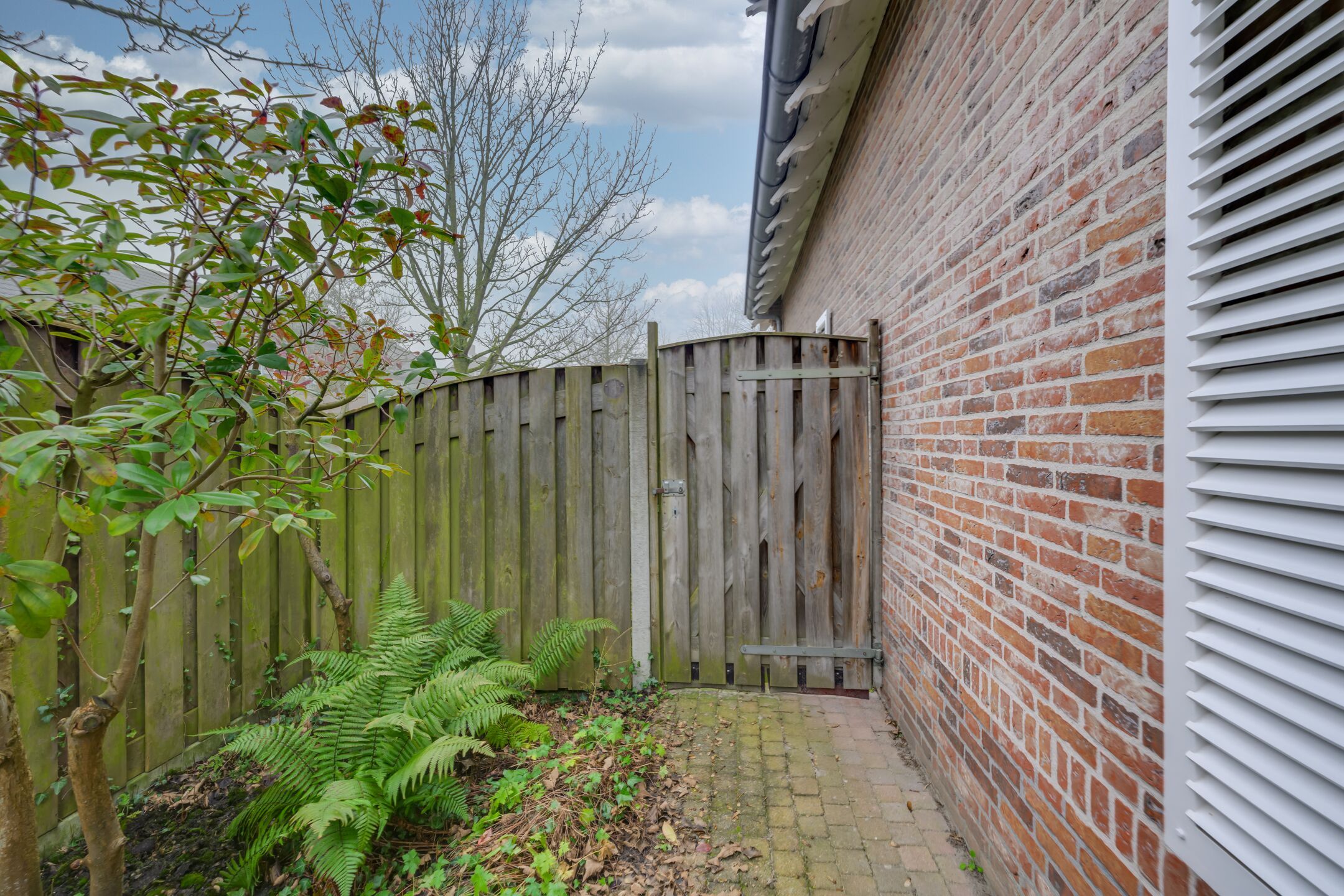 Foto 36 van Melassestraat 2