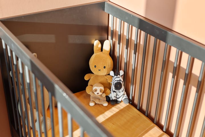 Foto 20 van Hengelosestraat 353