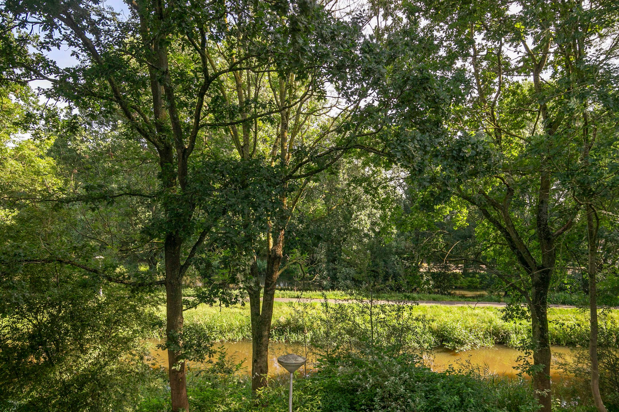 Foto 33 van Lauwers 124