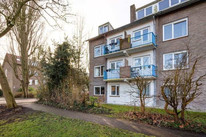 Photo 26 of Adriaen van Ostadelaan 62