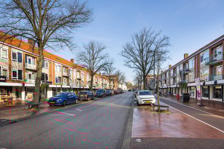 Photo 29 of Adriaen van Ostadelaan 62