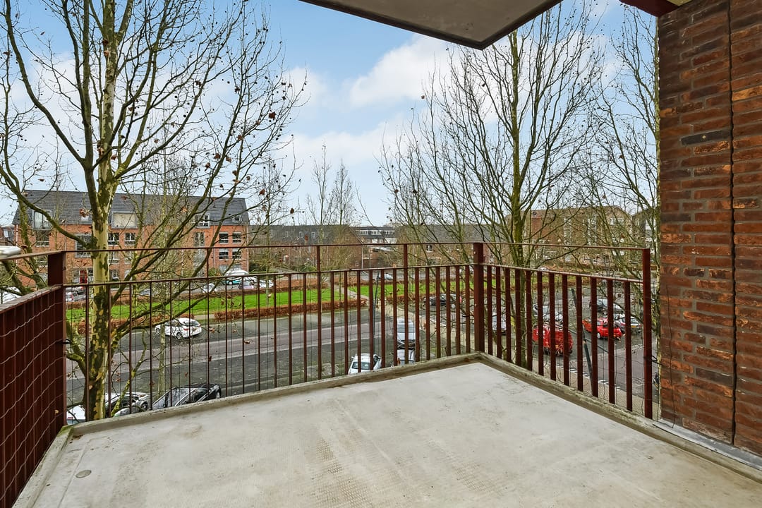 Foto 2 van Basilica 79