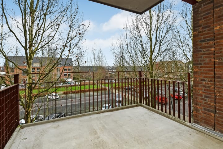 Foto 2 van Basilica 79