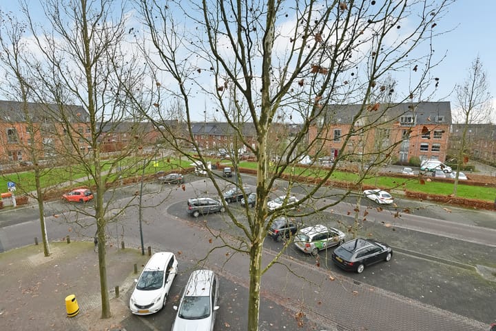 Foto 10 van Basilica 79