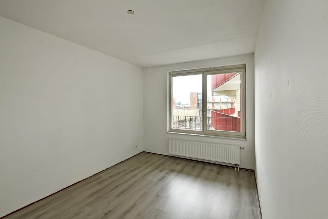 Foto 11 van Basilica 79