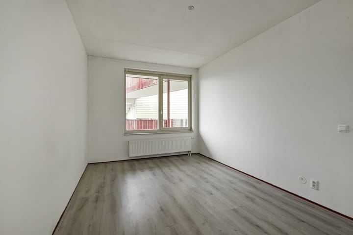 Foto 12 van Basilica 79