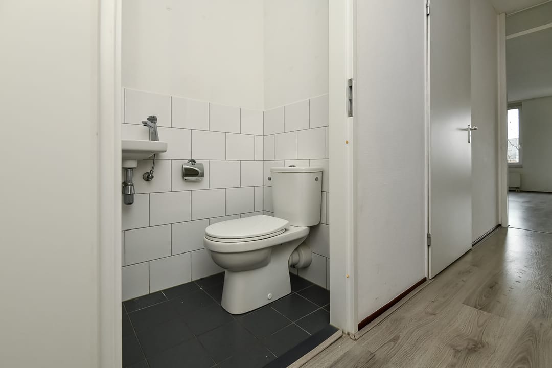 Foto 17 van Basilica 79