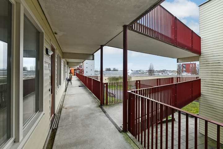 Foto 19 van Basilica 79