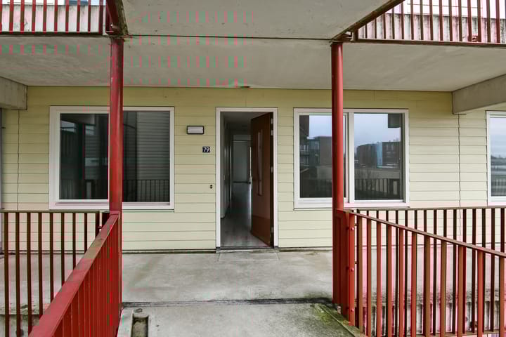 Foto 20 van Basilica 79