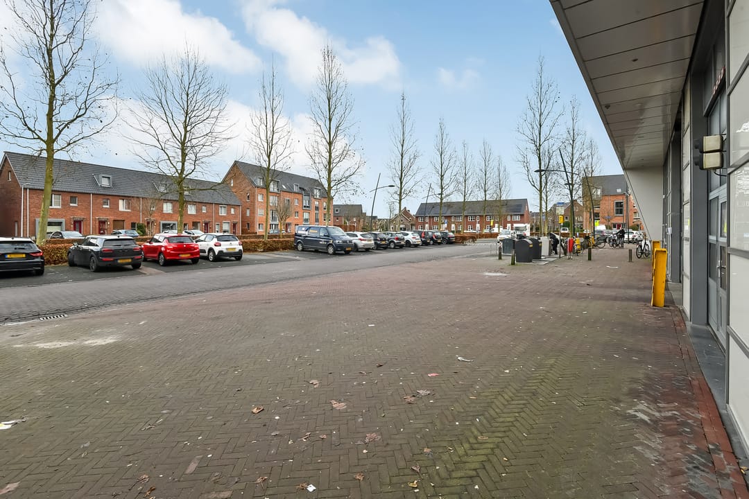 Foto 31 van Basilica 79