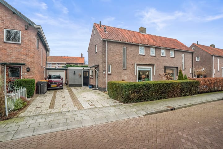 undefined main image