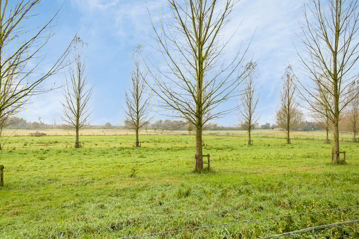 Foto 20 van Noenever 16