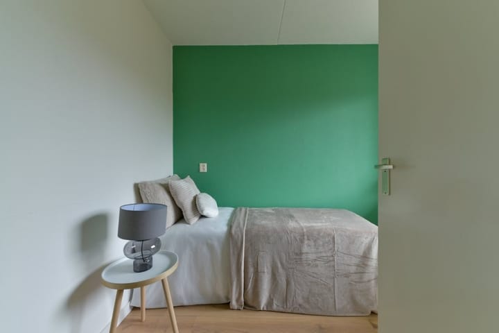 Foto 15 van Amsterdamsestraatweg 169-B