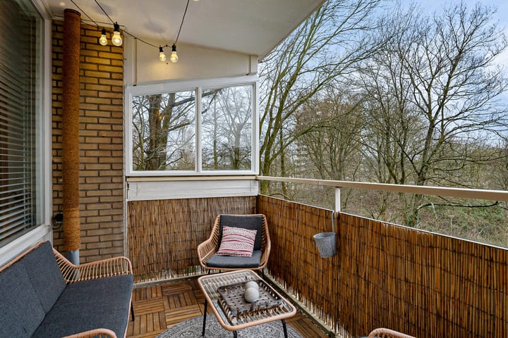 Foto 33 van Johan Willem Frisostraat 77