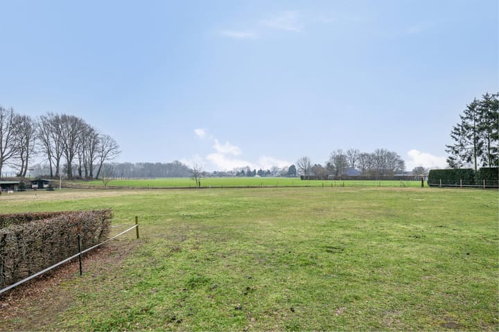 Photo 29 of Dries 10