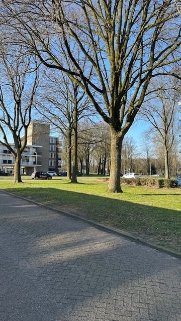 Foto 4 van Predikherenlaan 54